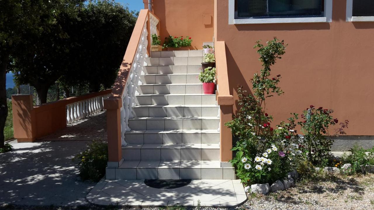 Apartman Jadranka Palit Exterior photo