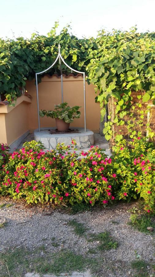 Apartman Jadranka Palit Exterior photo